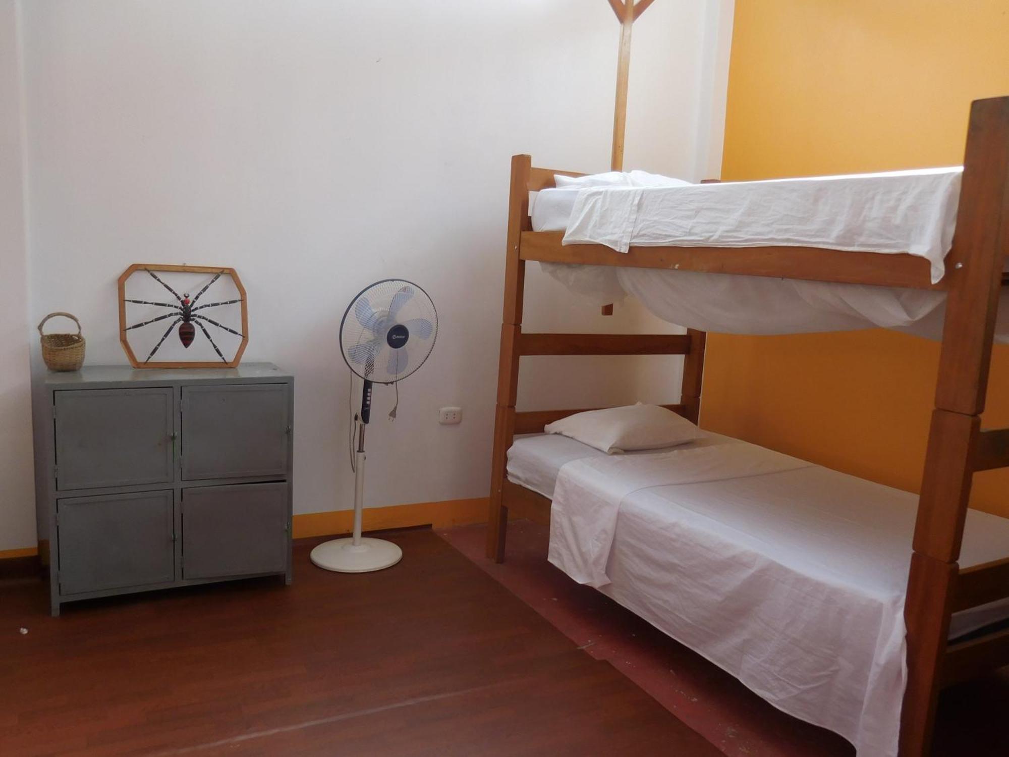 Tambopata Hostel ปูแอร์โต มัลโดนาโด ภายนอก รูปภาพ