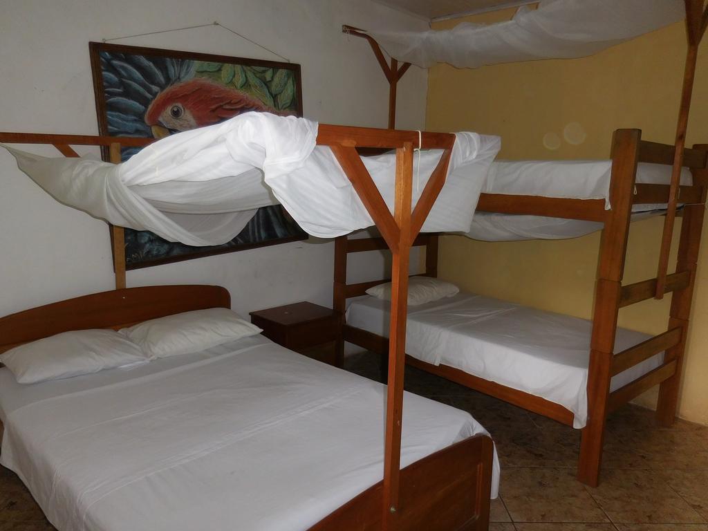 Tambopata Hostel ปูแอร์โต มัลโดนาโด ภายนอก รูปภาพ